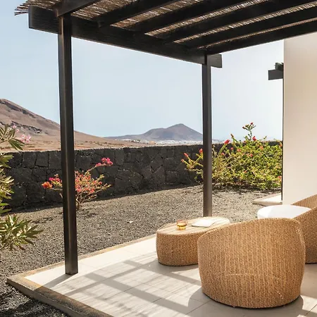 Canaryislandshost I ábora *